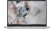 Dell Laptop Dell Pro 16 PC16250 W11P C5 120U/16GB/512GB/16.0 FHD+/Int/FgrPr/FHD/IRCam/Mic/WLAN+BT/BcklKb/3C/3YPS Platinum