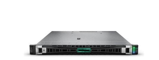 Hewlett Packard Enterprise Serwer DL365 G11 9124 64G 8SFF EU P78090-425