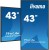 IIYAMA Monitor 42.5 cala ProLite LH4375UHS-B1AG, 24/7,IPS,ANDROID.11,4K,500cd/m2,WiFi,3xHDMI,DP,Daisy/Chain,2xUSB,2x10W,RJ45,iiSignage2,FailOver,SDM,4