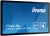 IIYAMA Monitor 32 TF3215MC-B1AG pojemnościowy 30PKT AMVA 24/7 IP65