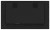 IIYAMA Monitor 32 cale TF3239MSC-B1AG,AMVA,HDMIx2,DP,RJ45,IP54,24/7,POJ.12p
