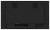 IIYAMA Monitor 32 cale TF3239MSC-B1AG,AMVA,HDMIx2,DP,RJ45,IP54,24/7,POJ.12p
