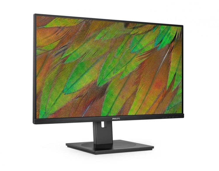 Philips Monitor 31.5 cala 32B1N3800 VA 4K HDMIx2 DP Pivot