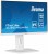 IIYAMA Monitor 27 cali ProLite XUB2792HSU-W6 IPS,HDMI,DP,100Hz,SLIM,4xUSB3.2,PIVOT,  HAS(150mm),2x2W