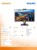 Philips Monitor 242B1H 23.8 IPS DVI HDMI DP Pivot Webcam