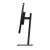 ThinkVision_T24_4v_CT2_05.webp