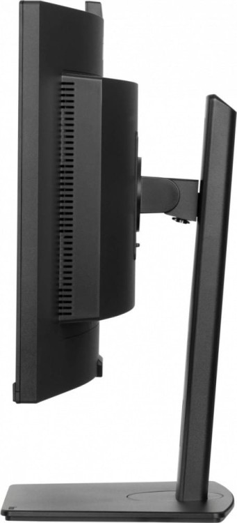 IIYAMA Monitor 34 cale XCB3497WQSNPH-B1 + Norton Small Business card 250G PL