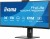 IIYAMA Monitor 34 cale XCB3497WQSNPH-B1 + Norton Small Business card 250G PL