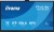 IIYAMA Monitor interaktywny 75 cali TE7513A-B2AG INFRARED,40pkt,IPS,4K,7H,500cd/m2,      WiFi,USB, ANDROID 14, Google EDLA,2x20W, UCHWYT ŚCIENNY