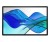 HP S5 514PN 14 ZOLL WQXGA 16:10/2560X1600 IPS 400CD 2000:1 7MS
